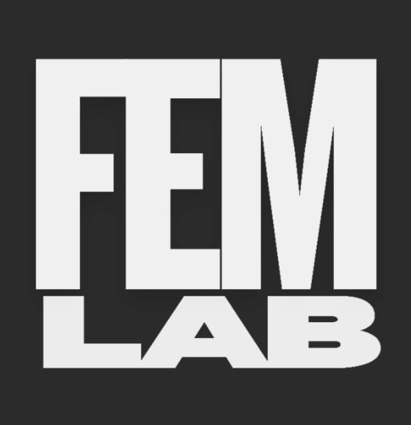 FEMlab